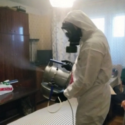 Дезинфекция от клопов в Новоуральске
