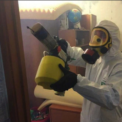 Уничтожение клопов в квартире. Новоуральск